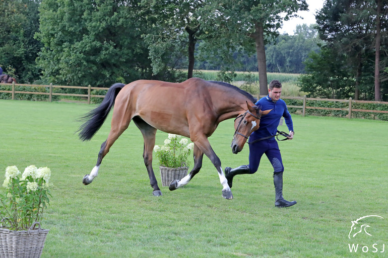 Photo © Jenny Abrahamsson for World of Showjumping.