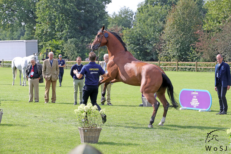 Photo © Jenny Abrahamsson for World of Showjumping.