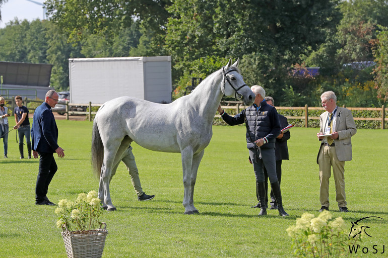 Photo © Jenny Abrahamsson for World of Showjumping.