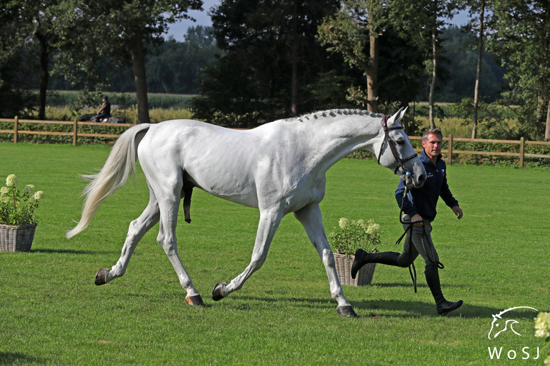 Photo © Jenny Abrahamsson for World of Showjumping.