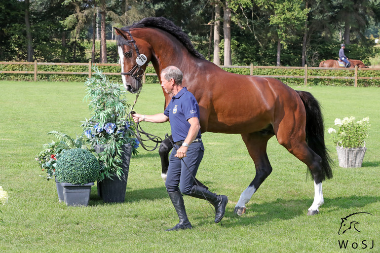 Photo © Jenny Abrahamsson for World of Showjumping.