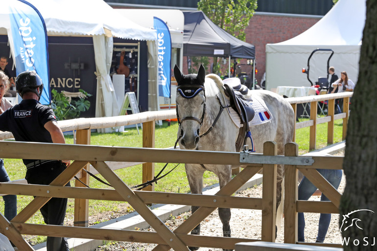 Photo © Jenny Abrahamsson for World of Showjumping.