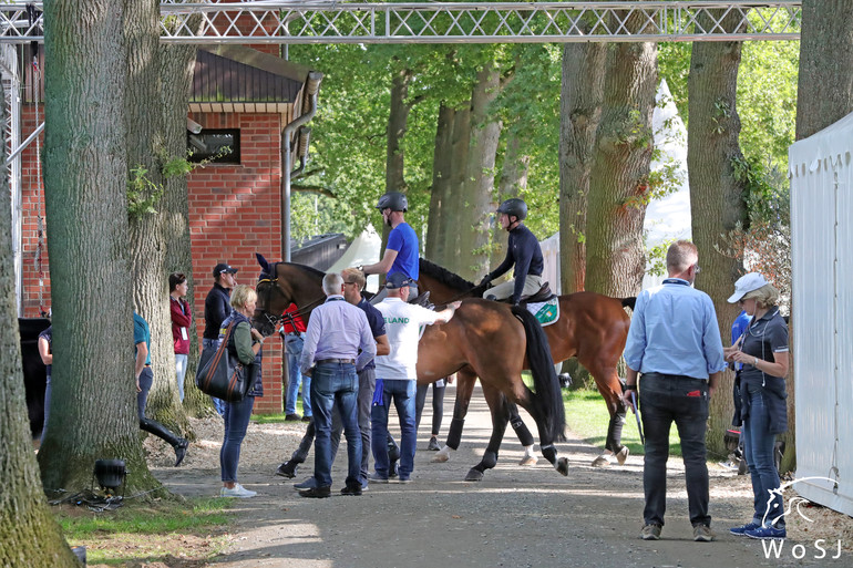 Photo © Jenny Abrahamsson for World of Showjumping.