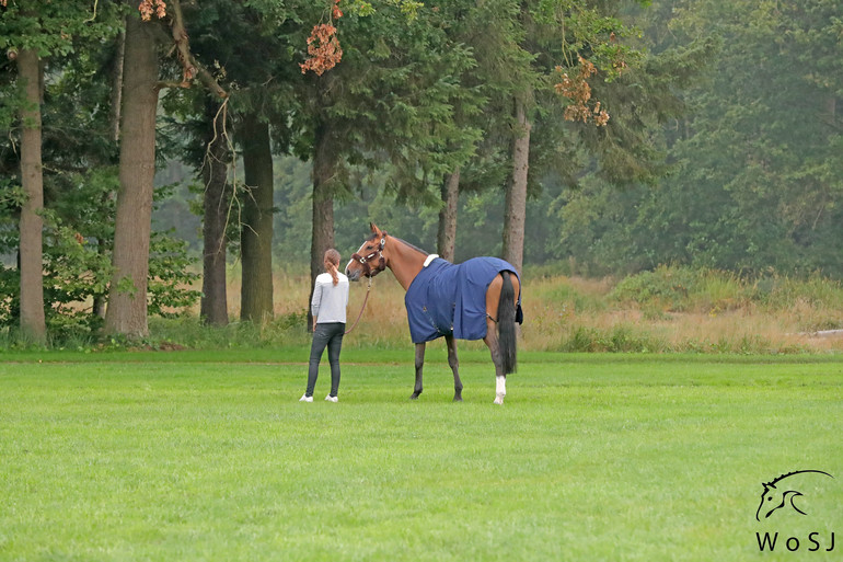Photo © Jenny Abrahamsson for World of Showjumping