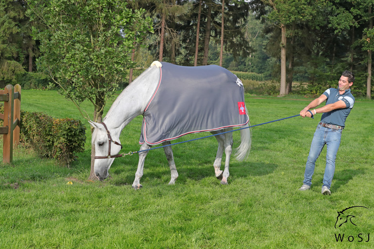 Photo © Jenny Abrahamsson for World of Showjumping.