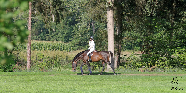 Photo © Jenny Abrahamsson for World of Showjumping.