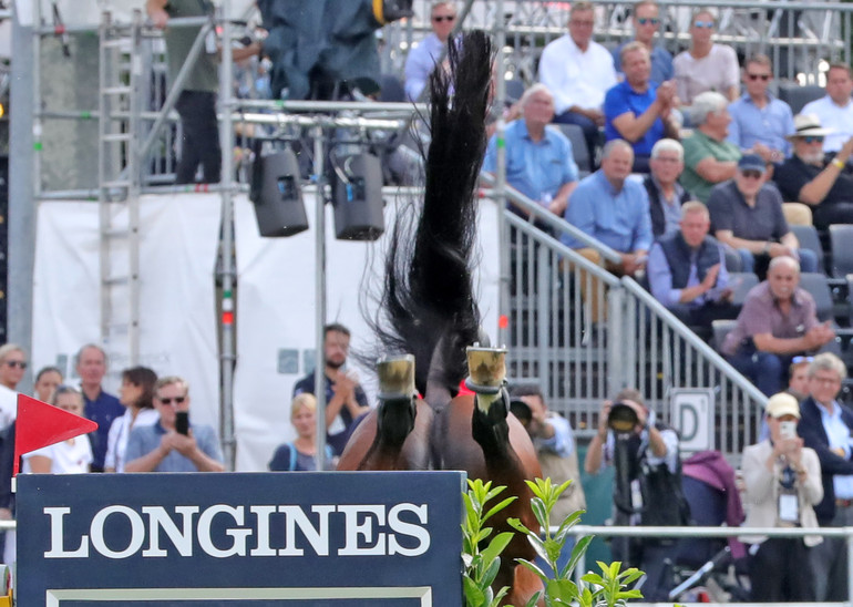 Photo © Jenny Abrahamsson for World of Showjumping.