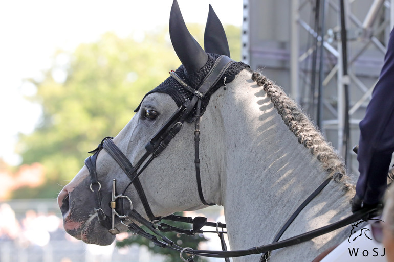 Photo © Jenny Abrahamsson for World of Showjumping