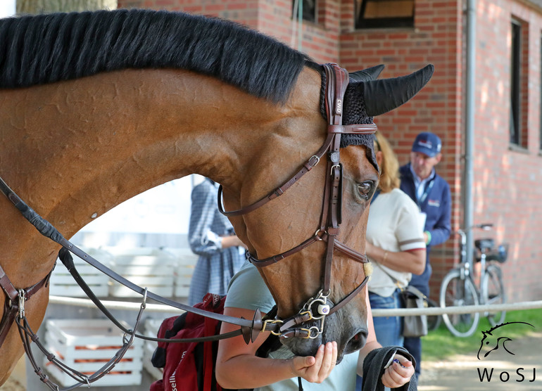 Photo © Jenny Abrahamsson for World of Showjumping.