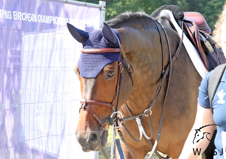 Photo © Jenny Abrahamsson for World of Showjumping.