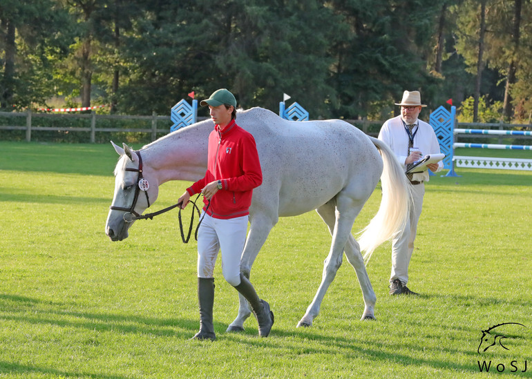 Photo © Jenny Abrahamsson for World of Showjumping