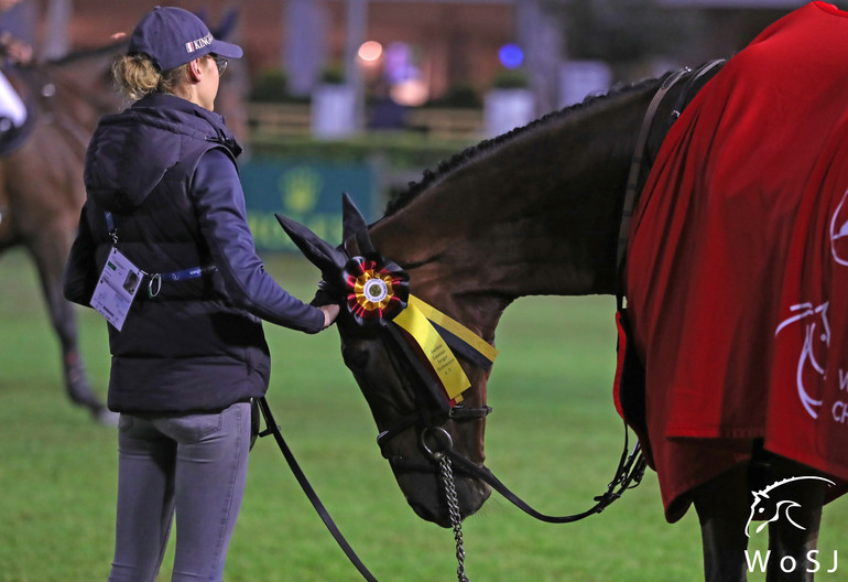 Photo © Jenny Abrahamsson for World of Showjumping.