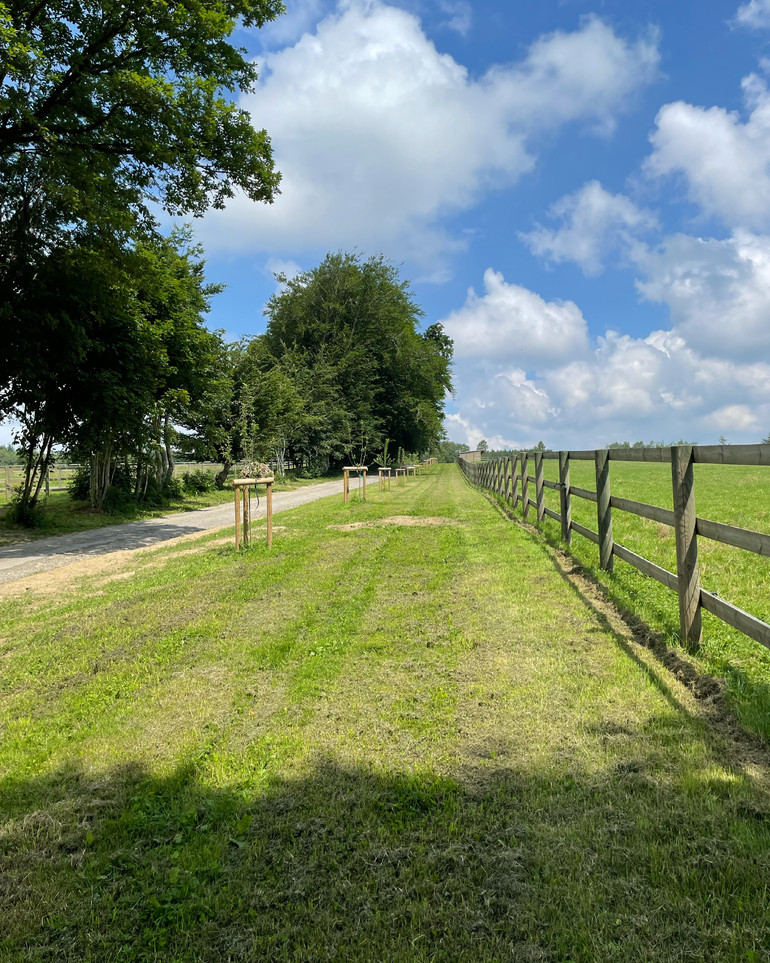 Haras de Prepinson