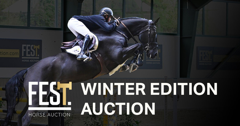 FESTHorseauction.com 