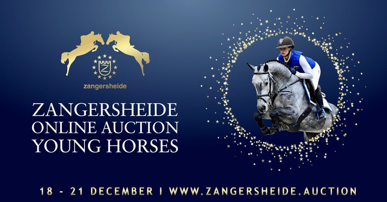 Zangersheide Auction