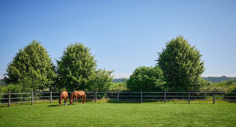 FBH Equestrian Center