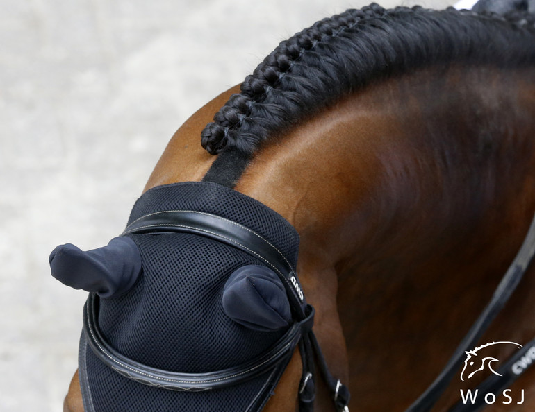 Photo © Jenny Abrahamsson for World of Showjumping. 