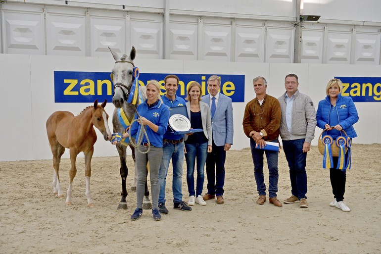 Zangersheide Breeders’ Sales