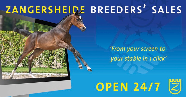 Zangersheide Breeders’ Sales 