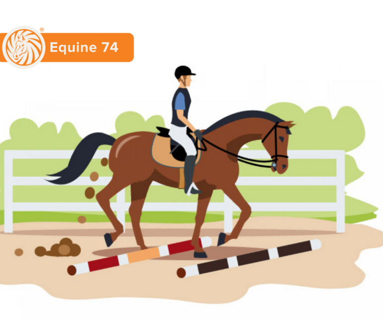 Equine 74 Gastric