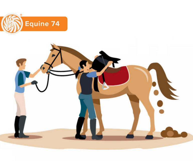 Equine 74 Gastric