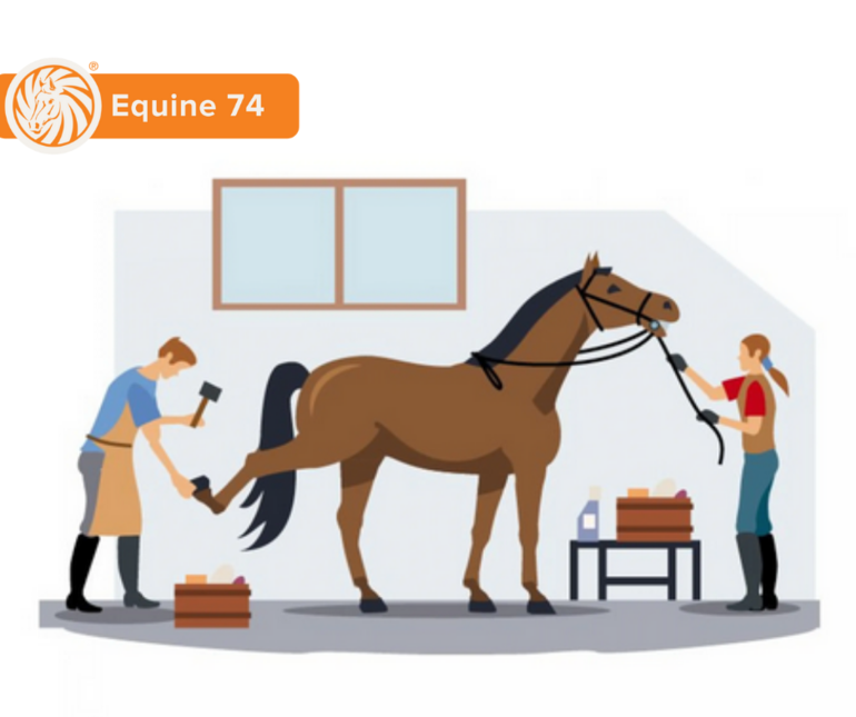 Equine 74 Gastric