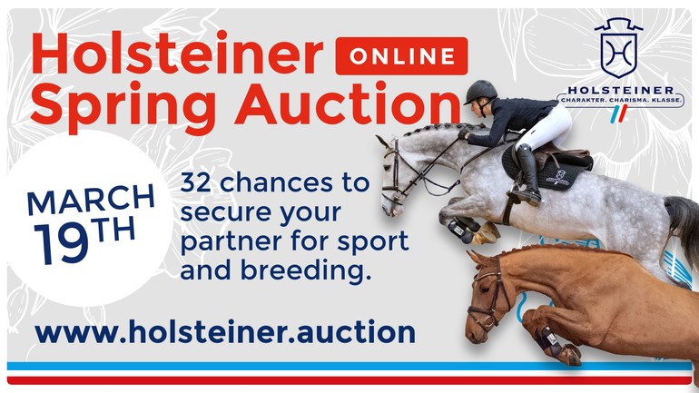 36th Holsteiner Spring Auction