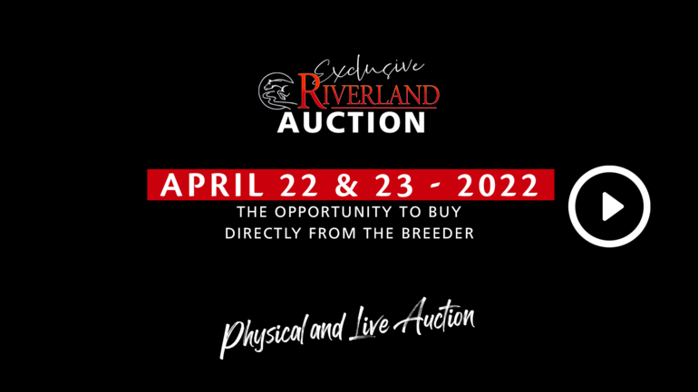 Exclusive Riverland Auction