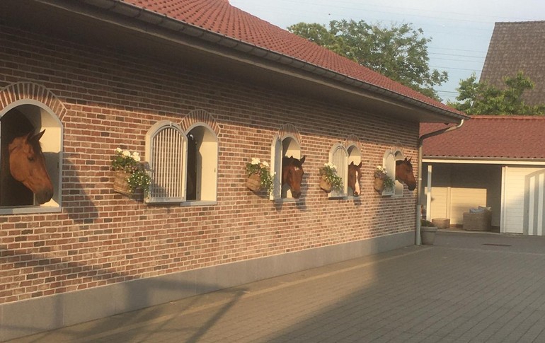 Private stable for rent in Vrasene, Belgium