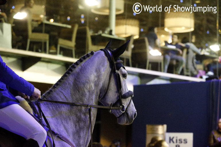 Christian Ahlmann's Caruso waiting to enter the course for the jump-off.