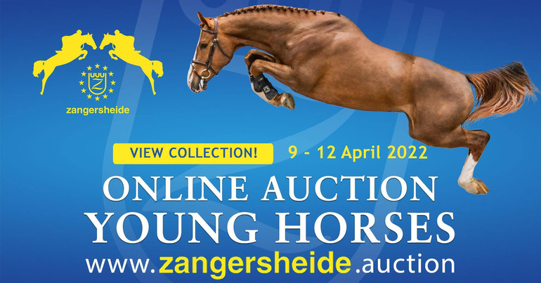Zangersheide Online Auction