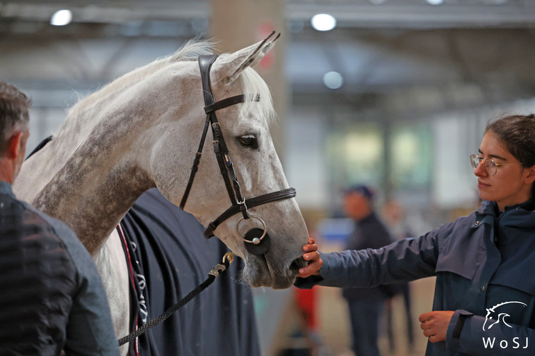 Photo © Jenny Abrahamsson for World of Showjumping.