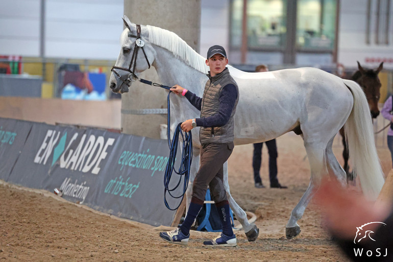 Photo © Jenny Abrahamsson for World of Showjumping.