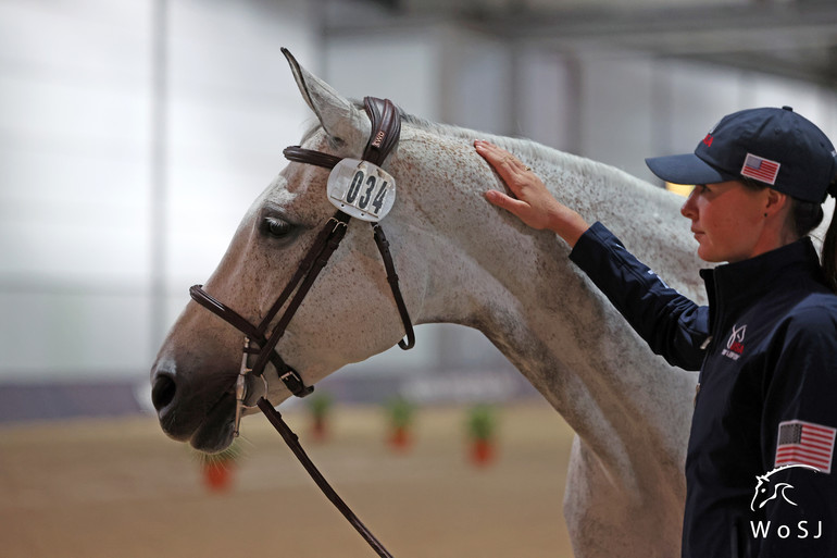 Photo © Jenny Abrahamsson for World of Showjumping.