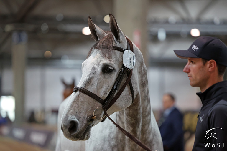 Photo © Jenny Abrahamsson for World of Showjumping.