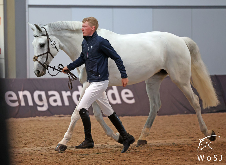 Photo © Jenny Abrahamsson for World of Showjumping.