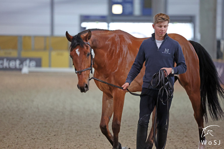 Photo © Jenny Abrahamsson for World of Showjumping.