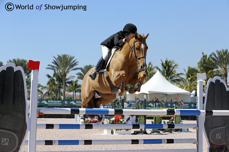 Katie Dinan has found another small and bouncy chestnut in Galan S. Photo (c) Jenny Abrahamsson.