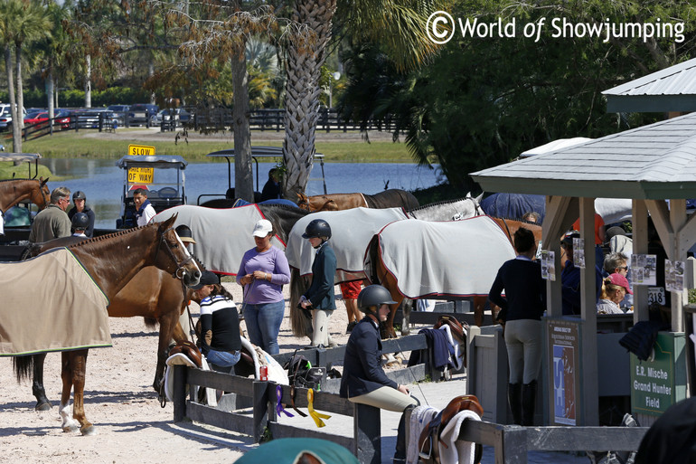 Winter Equestrian Festival