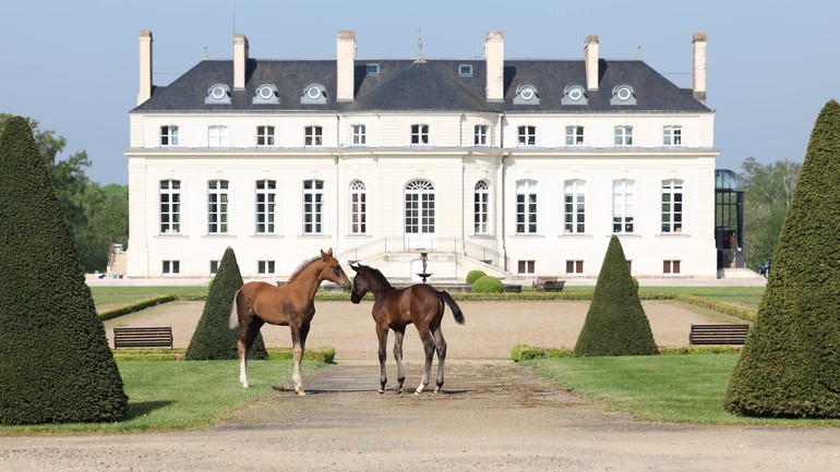 Haras de Hus