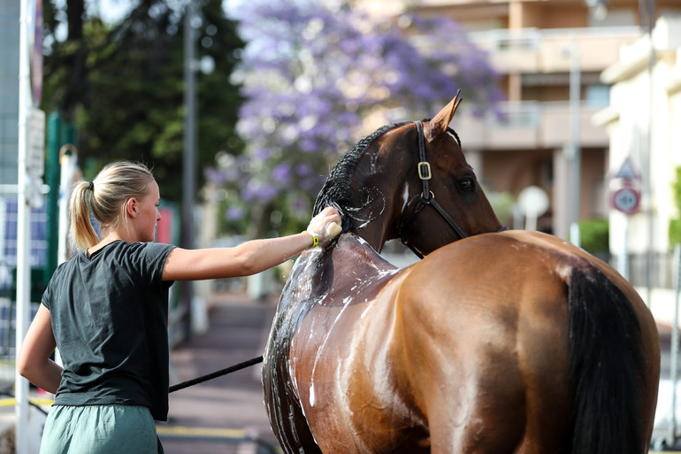 Photo © GCL/LGCT. 