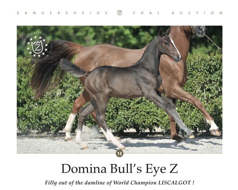 Domina Bull’s Eye Z 