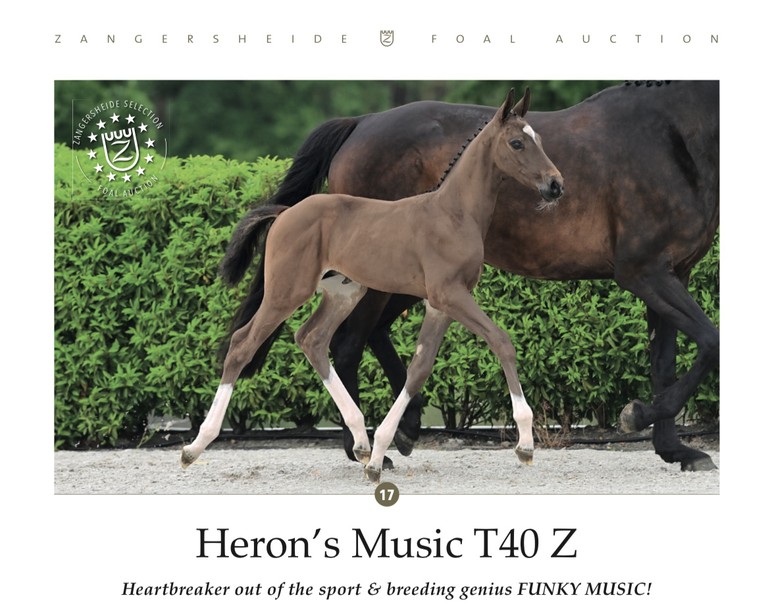 Heron’s Music T40 Z 
