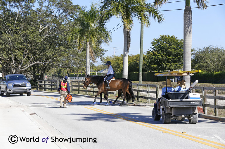 Winter Equestrian Festival