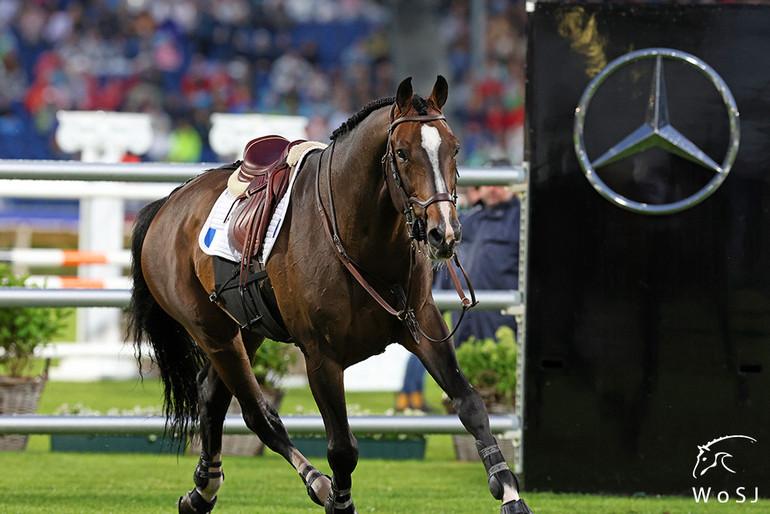 Photo © Jenny Abrahamsson for World of Showjumping. 