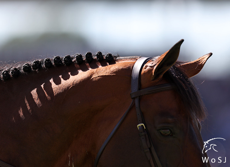 Photo © Jenny Abrahamsson for World of Showjumping