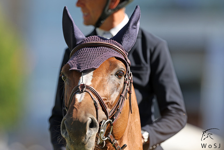 Photo © Jenny Abrahamsson for World of Showjumping