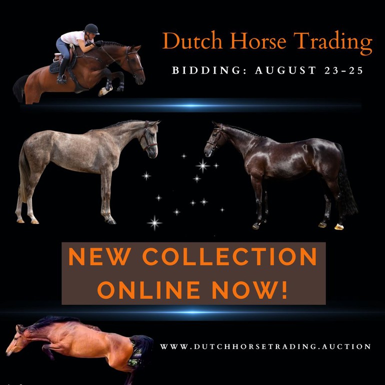 Dutch Horse Trading