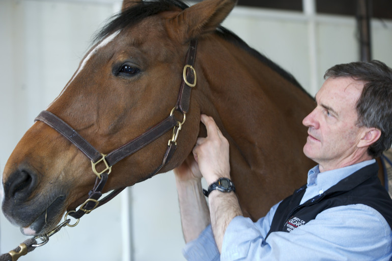 Photo © Spruce Meadows Media