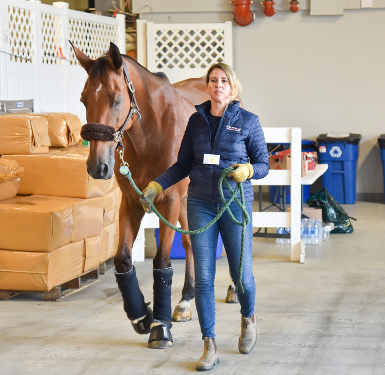 Photo © Spruce Meadows Media/Mike Sturk